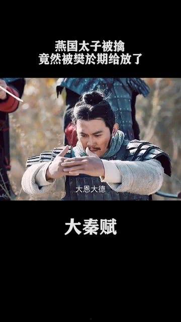 刺秦呢在线观看,揭秘历史风云，再现战国传奇  第3张